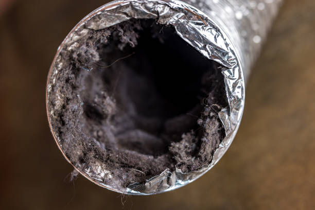 Best Home Air Vent Cleaning  in Los Osos, CA