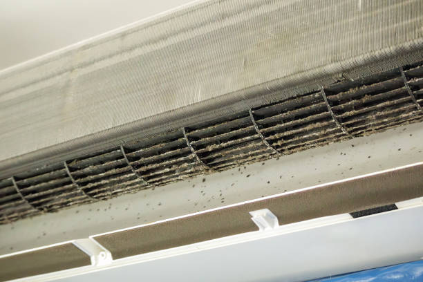 Best Professional Duct Cleaning Services  in Los Osos, CA